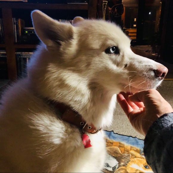 Meet your Posher, Karen - Picture 9 of 16